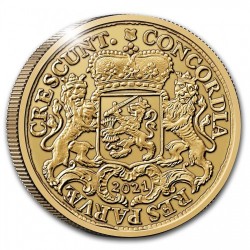 限定20枚 例年即完売 2021年 オランダ シルバーライダー 2オンスプルーフ金貨 限定20枚 例年即完売 2021年 オランダ シルバーライダー 2オンスプルーフ金貨