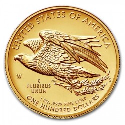2015年アメリカン・リバティ ハイリリーフ金貨