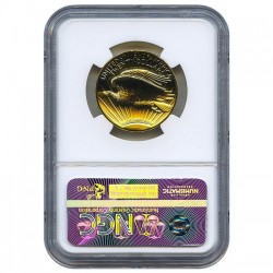 存在1枚 奇跡の1枚 2009年ウルトラハイリリーフ金貨NGC MS70 DPL