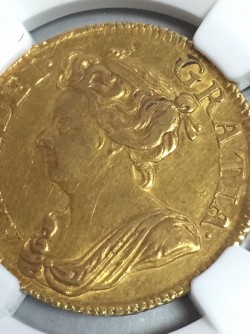 激レア 1713年英国アン女王ギニー金貨 NGC AU55